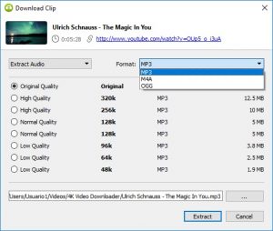 4K Video Downloader-6